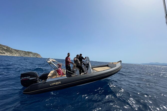 4 Hour Fishing Trip in Heraklion - What you might catch in the Mediterranean waters off Heraklion