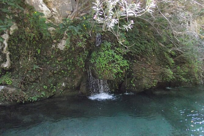 5-Hour Shared River Trekking in Kourtaliotiko Gorge - Banana Garden Finish: Refreshments, Conversation, and Fruit Trees