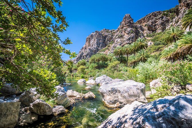 6-Hours Safari Tour in Ammoudi and Preveli Beach from Plakias - The Preveli Palm Beach plan: gorge walking, shade, and protected nature