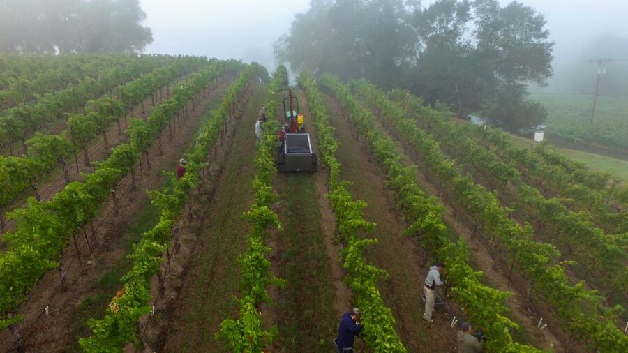 Afternoon: Tour Soap, Olive Oil, Wine Stories of Peza Valley - Price and Value at About $116 for Olive Oil and Wine Stories