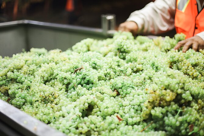 Afternoon Tour: Soap, Olive Oil & Wine Stories of Peza Village - The food piece: bread, tomatoes, and a lunch that surprises