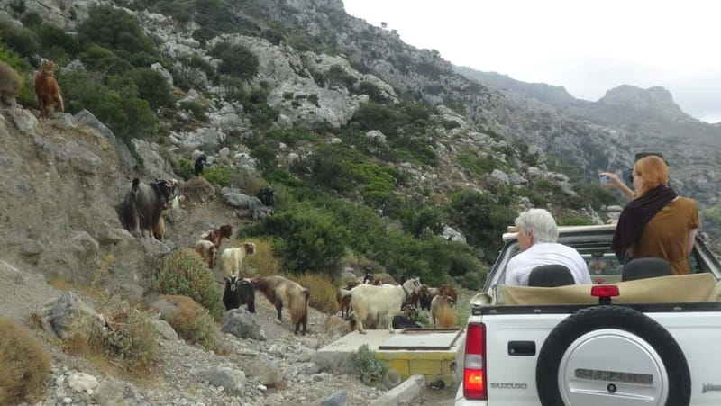 Agios Nikolaos: Thripti Mountain Villages Jeep Tour w/Lunch - Key highlights worth planning around