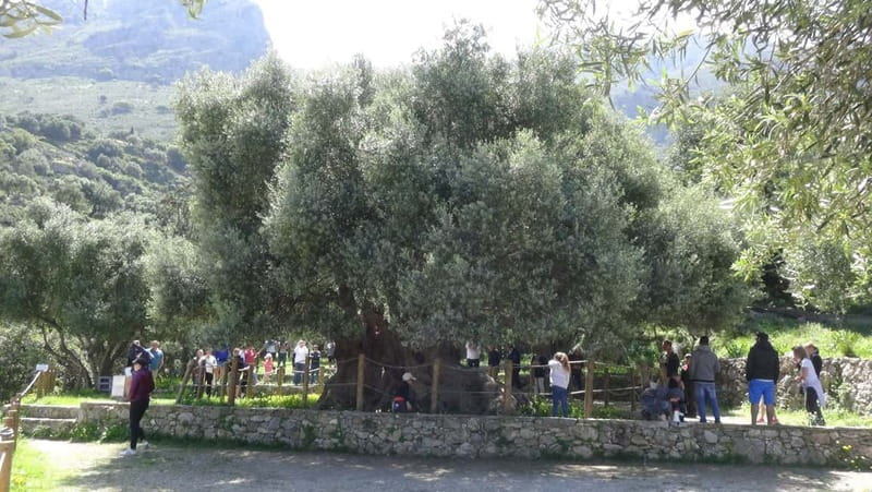 Agios Nikolaos: Thripti Mountain Villages Jeep Tour w/Lunch - Mochlos lunch: 3 courses, then a breather by the water