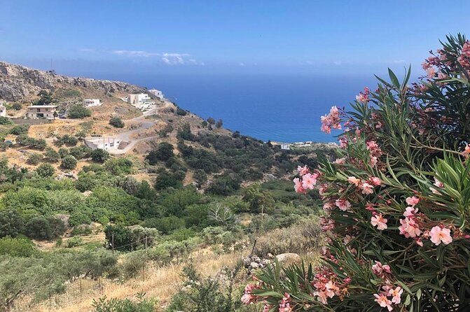 All day road trip from the North mountains to the South beaches - Small Group Size and Giannis Style: How the Day Stays Personal
