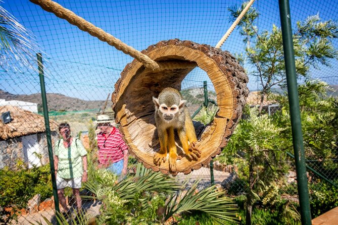 Amazonas Park and Glass Bottom Boat Tour - Agios Nikolaos time: use the two hours well