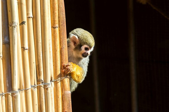 Amazonas Park and Glass Bottom Boat Tour - What the schedule and transport mean in real life