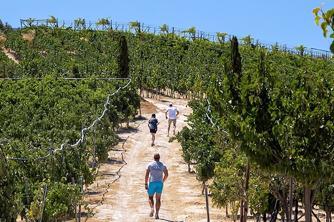 “ARISMARI” – Vineyard Tour & Wine Tasting - Key highlights you should care about