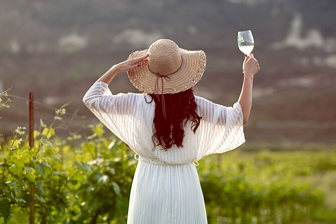 “ARISMARI” – Vineyard Tour & Wine Tasting - ARISMARI at Douloufakis Winery, what you’re actually booking