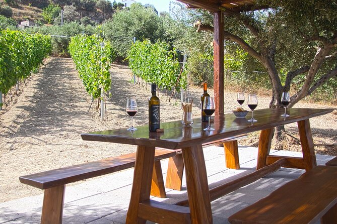 “ARISMARI” – Vineyard Tour & Wine Tasting - The pergola tasting: six pours, 60ml each, and Cretan pairings