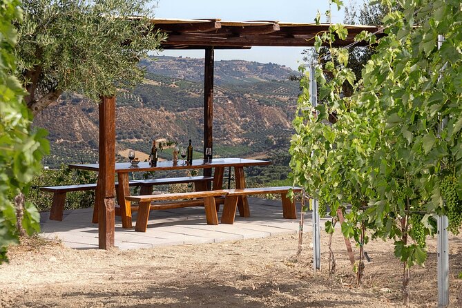 “ARISMARI” – Vineyard Tour & Wine Tasting - What the guide style is like, and what to ask