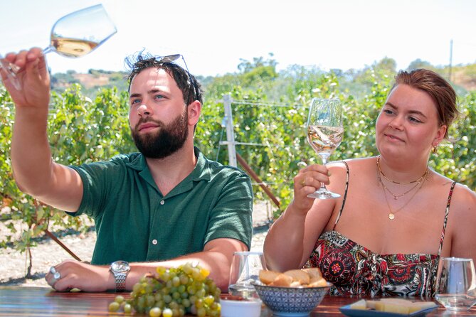 “ARISMARI” – Vineyard Tour & Wine Tasting - Who ARISMARI is for, and who should rethink it