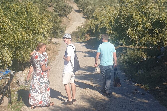 Authentic Olive Oil and Cultural Experience in Crete - Price and time: does $155.77 feel worth it?