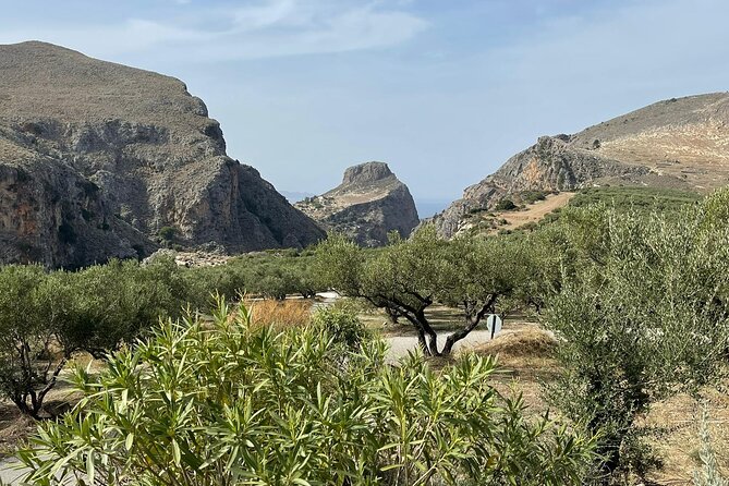 Authentic Olive Oil and Wine Tasting Experience in Chania - Patriotis Winery: Low-Intervention Wines with Food Pairing
