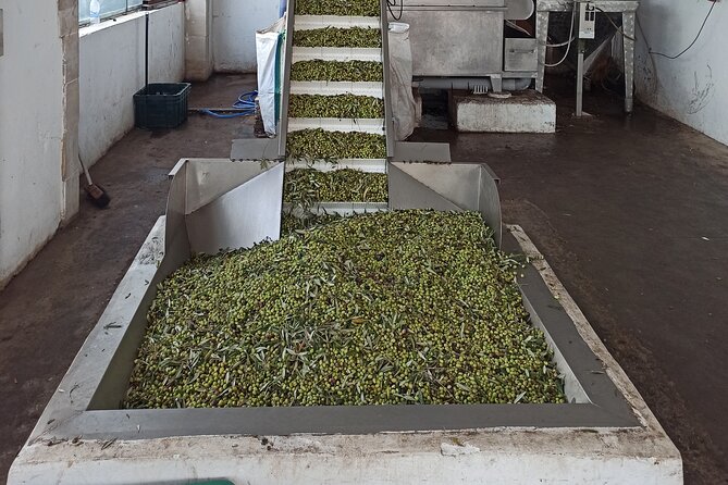 Authentic Olive Oil and Wine Tasting Experience in Chania - Transportation, Pickup, and How the Day Stays Easy