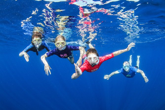 Boat Trip in Crete with Guided Snorkeling and Free Pick up! - Key highlights you should care about