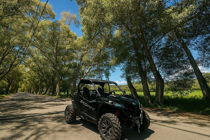 Buggy Safari From Georgioupolis Area - Key highlights you’ll feel right away