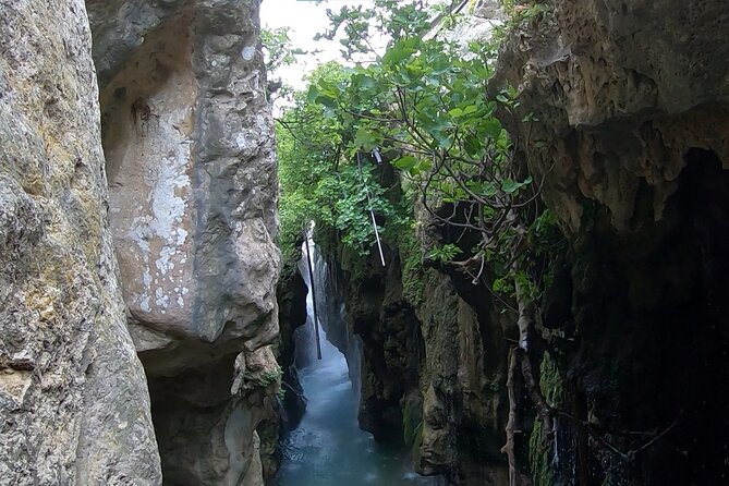Canyoning in the water - Kourtaliotiko Gorge - Rappels and Water Jumps: Choose Your Level of Dare