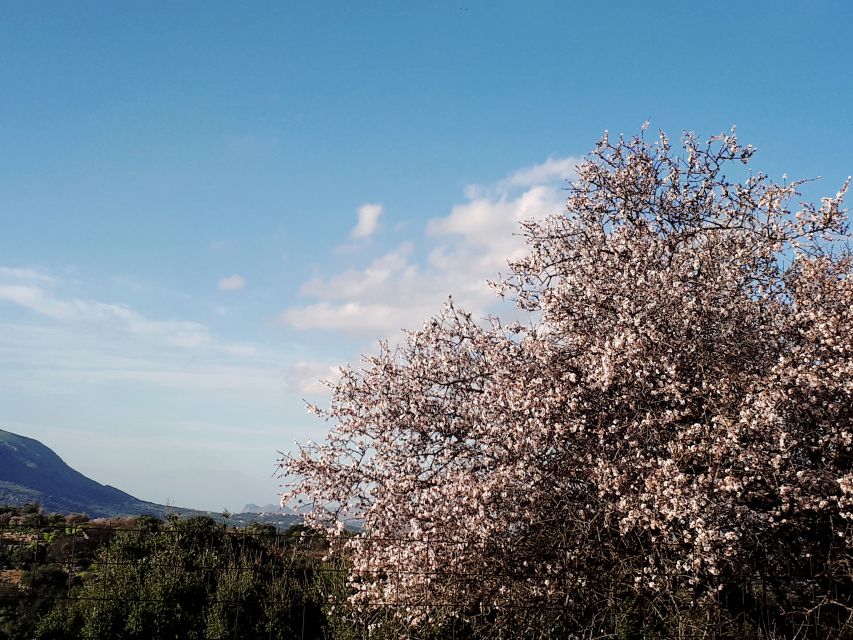 Chania: 7 Villages of Apokoronas Tour with Lunch - Who should book this tour, and who might not love it
