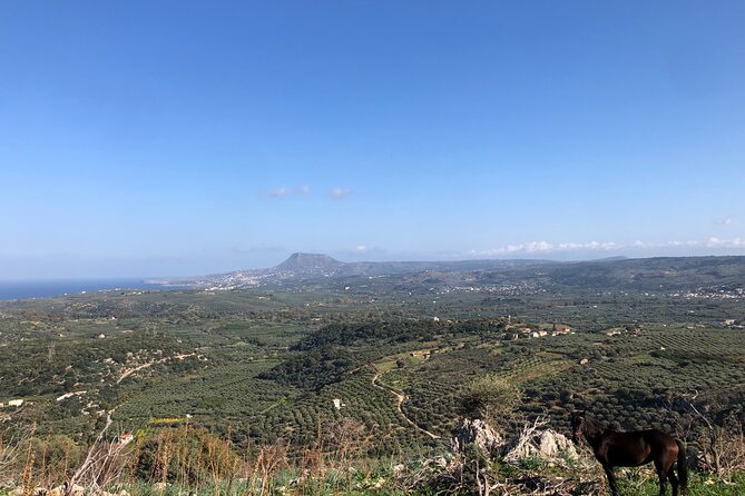 Chania Area: Cooking Class at a Farm in Stylos Village (organic) - A Stylos farm cooking class that feels like real village life
