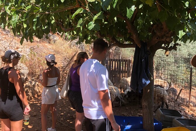 Chania Area: Cooking Class at a Farm in Stylos Village (organic) - Value check: what you pay, and what you actually get
