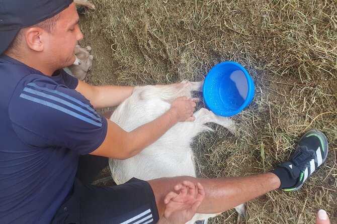 Chania Area: Cooking Class at a Farm in Stylos Village (organic) - Diktamos Gorge stop: a scenic break before kitchen work