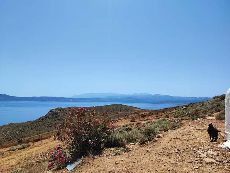 Chania:Balos&Falassarna Private Jeep Safari + Lunch&Loungers - Value check: $412 per group up to 3, what you’re paying for