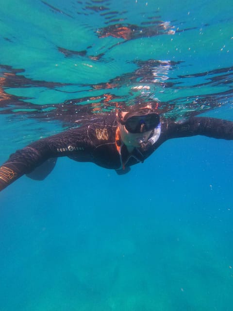 Chania: Boat Trip with Guided Snorkeling Tour - Marine Life and Underwater Sightseeing: What You Can Expect