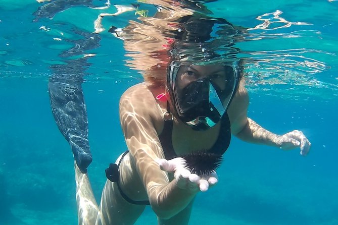 Chania: Boat Trip with Guided Snorkeling Tour & SUP - Onboard Extras: Photos, Video, Fruit, and the Little Things