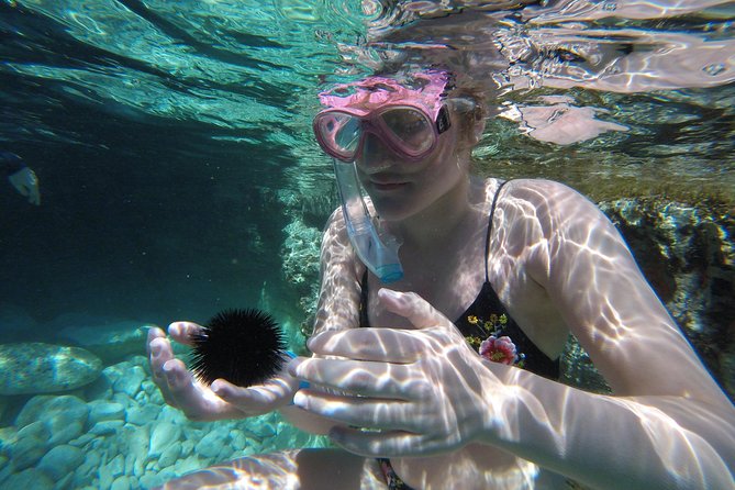 Chania: Boat Trip with Guided Snorkeling Tour & SUP - The Price and Value: What $119.73 Buys You