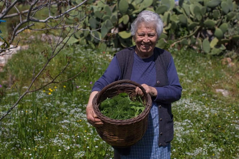 Chania: Cretan Wine, Olive Oil & Cooking Workshop - Key highlights worth your attention