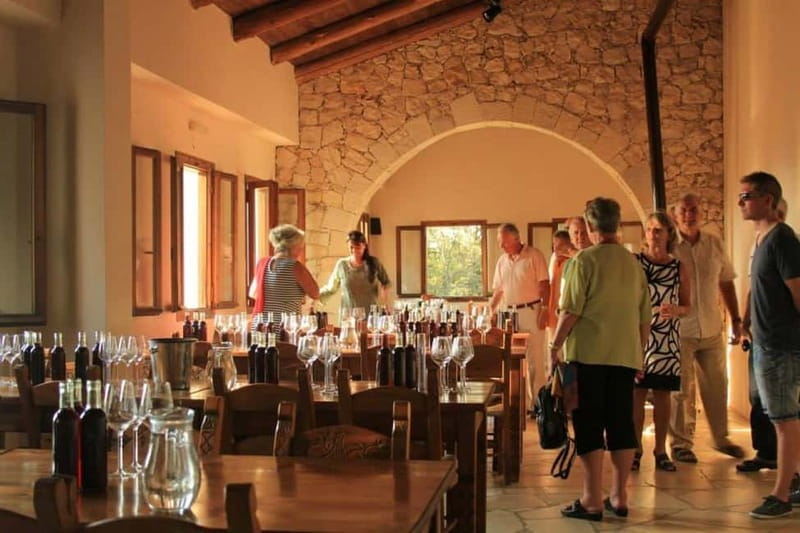 Chania: Cretan Wine, Olive Oil & Cooking Workshop - Themed rooms in the family house, more context without extra noise