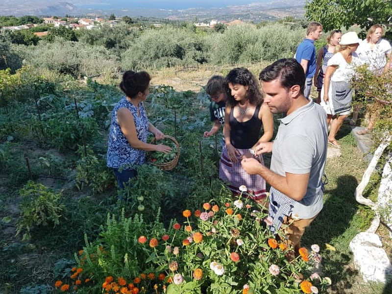 Chania: Cretan Wine, Olive Oil & Cooking Workshop - The family winery stop and what Cretan varietals teach you