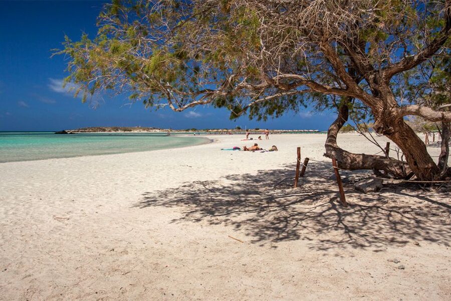Chania: Elafonisi and Milia Mountain with Loungers and Lunch - Guide styles you might run into, and why it affects the day