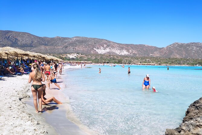 Chania: Elafonisi & Falasarna Private Tour w/olive oil tasting - Best for who: beach lovers, families, and culture snackers