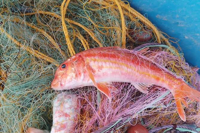Chania Fishing with Nets Catch and Cook with a Local Fisherman - Net fishing off Chania: the real-local part