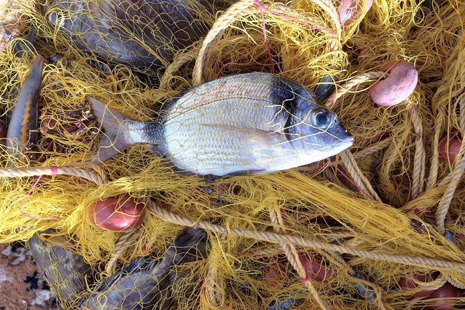 Chania Fishing with Nets Catch and Cook with a Local Fisherman - From catch to cook: the onboard seafood lunch experience