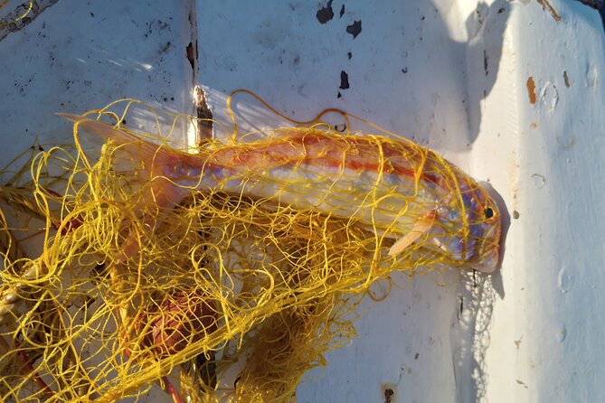 Chania Fishing with Nets Catch and Cook with a Local Fisherman - Price and value: is $172.16 worth it?