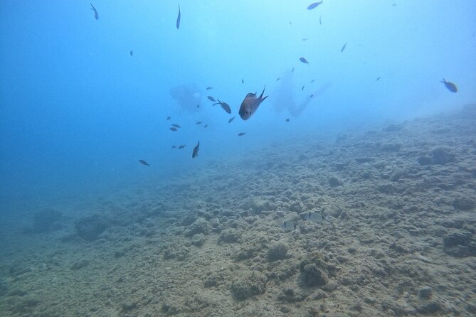 Chania Guided Snorkeling and Boat Excursion - Boat time between spots: snack break, scenic cruising, and reset