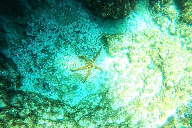 Chania Guided Snorkeling and Boat Excursion - What to bring (and what you can leave at home)