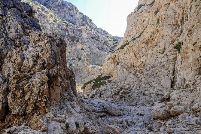 Chania: Hiking through History and Hidden Gems at Katholiko Bay - Price and value: how $180.50 makes sense for the right traveler