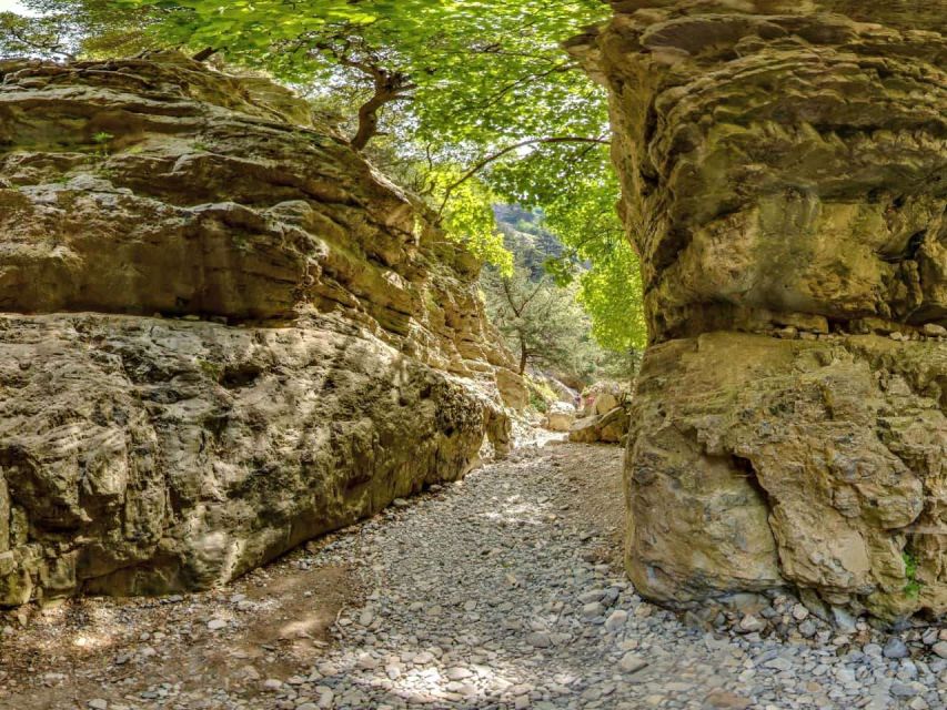 Chania: Imbros Gorge and Libyan Sea Day Tour - From Chania to the White Mountains, the ride you should expect