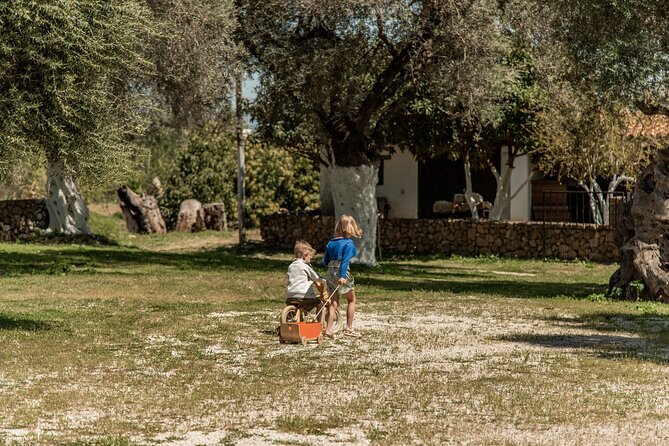 Chania Luxuries: Secrets of Wine and Olive Oil Tastings - Price and logistics: is $1,028 per group good value?