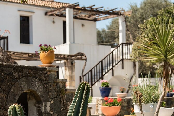 Chania Luxuries: Secrets of Wine and Olive Oil Tastings - Karavitakis Winery: wine tasting with a family legacy