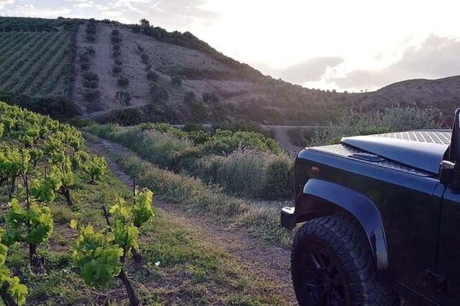 Chania Luxuries: Secrets of Wine and Olive Oil Tastings - What the route and guide add to the day