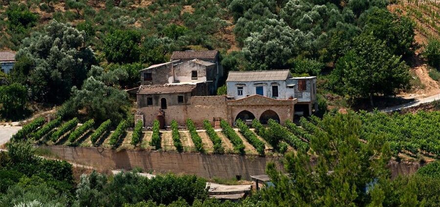 Chania: Milia Mountain Tour w/Lunch Olive Oil/Wine Tastings - Price and value: why $176 can feel fair for a food-first mountain day