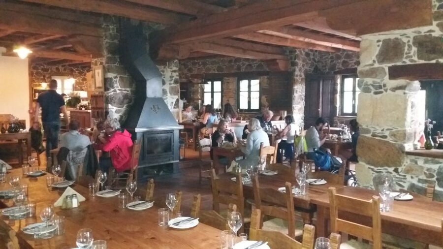 Chania: Milia Mountain Tour w/Lunch Olive Oil/Wine Tastings - What to bring, who should go, and the small realities to plan for
