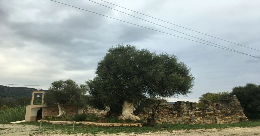 Chania Monasteries Private Tour: A Greek Orthodoxy Tribute - Key highlights you should care about