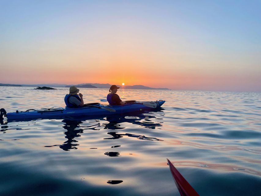 Chania: Morning Sea Kayak Tour Along the Coastline - When You Should Skip This Tour
