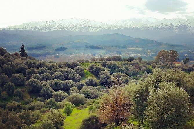 Chania Nature & Villages, White Mountains & Unique Cretan Lunch - First Stop, Lake Agias and Orange Valley Coffee Break
