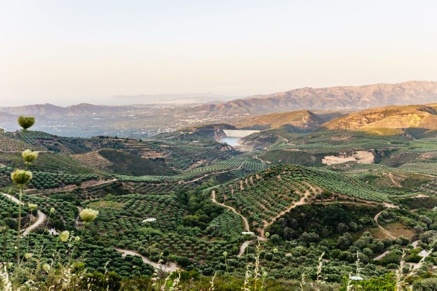 Chania: Off-Road Tour at Sunset - Deres and the included meze dinner with local wine